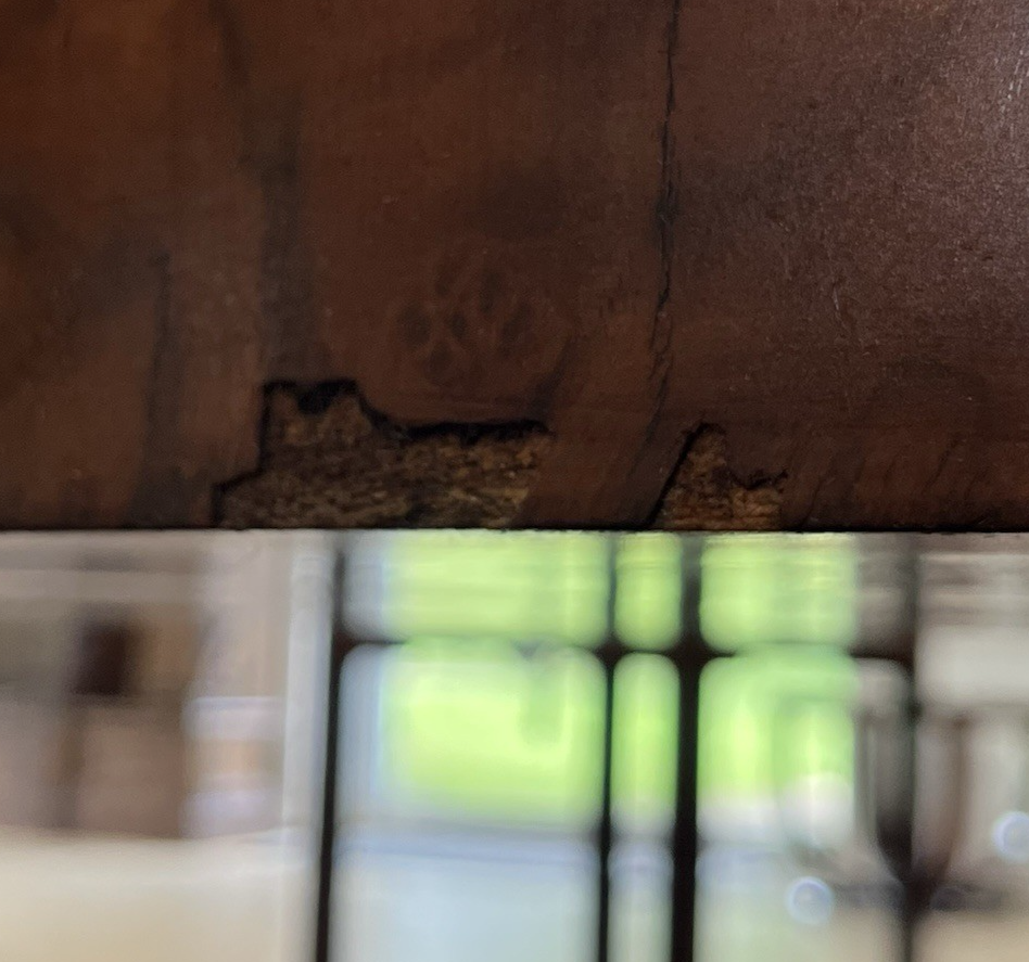 66" LARGE ROUND EMPIRE STYLE FIGURED BURL WALNUT CENTER ENTRYWAY TABLE