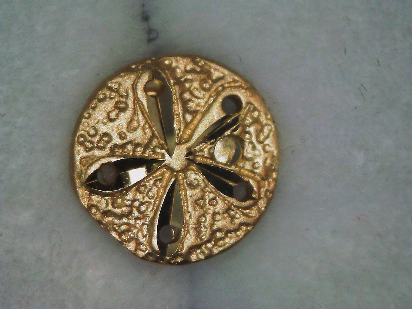 14K Yellow Gold Sand Dollar Stud Earrings .78g 6.99mm