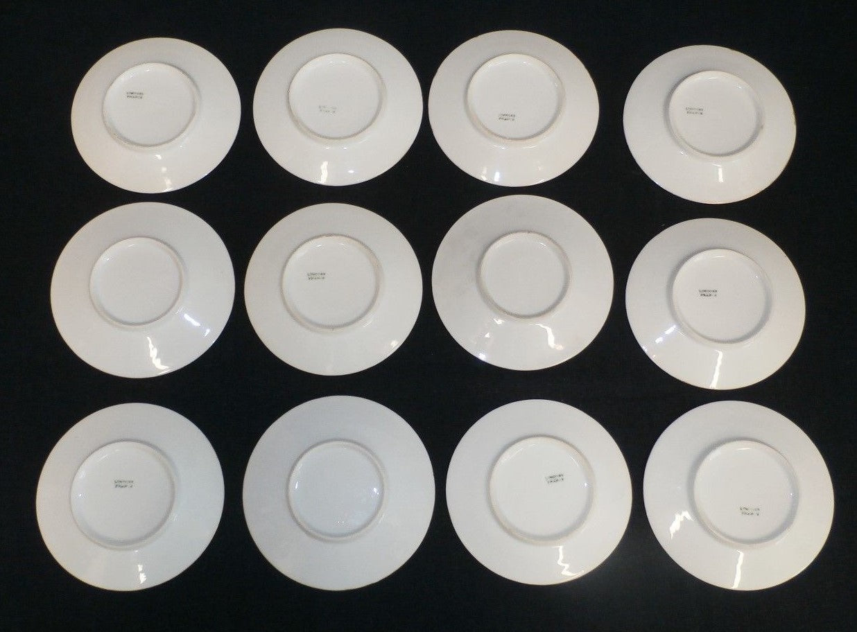 Set of 12 LIMOGES FRANCE Small Plates / Coasters 5" Hand Painted