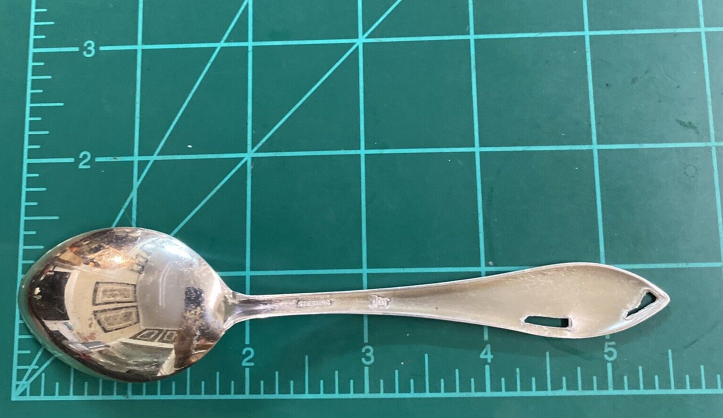 Vintage 5 1/2" Sterling Petrified Forest Arizona Souvenir Spoon 17.5g