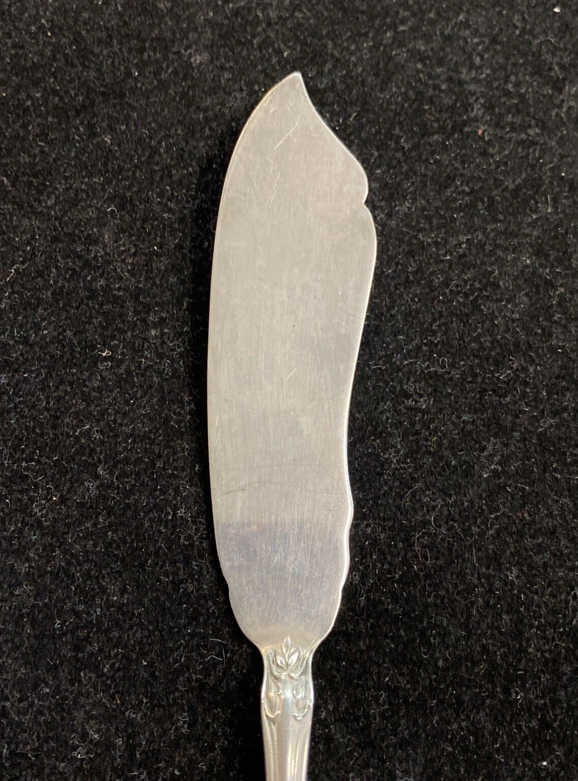 Alvin Sterling Silver 7 1/8" Chateau Rose Master Butter Spreader No Mono 34.7g