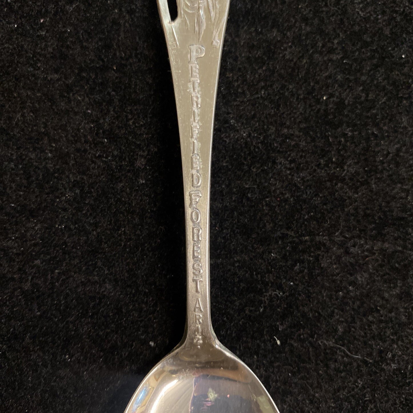 Vintage 5 1/2" Sterling Petrified Forest Arizona Souvenir Spoon 17.5g