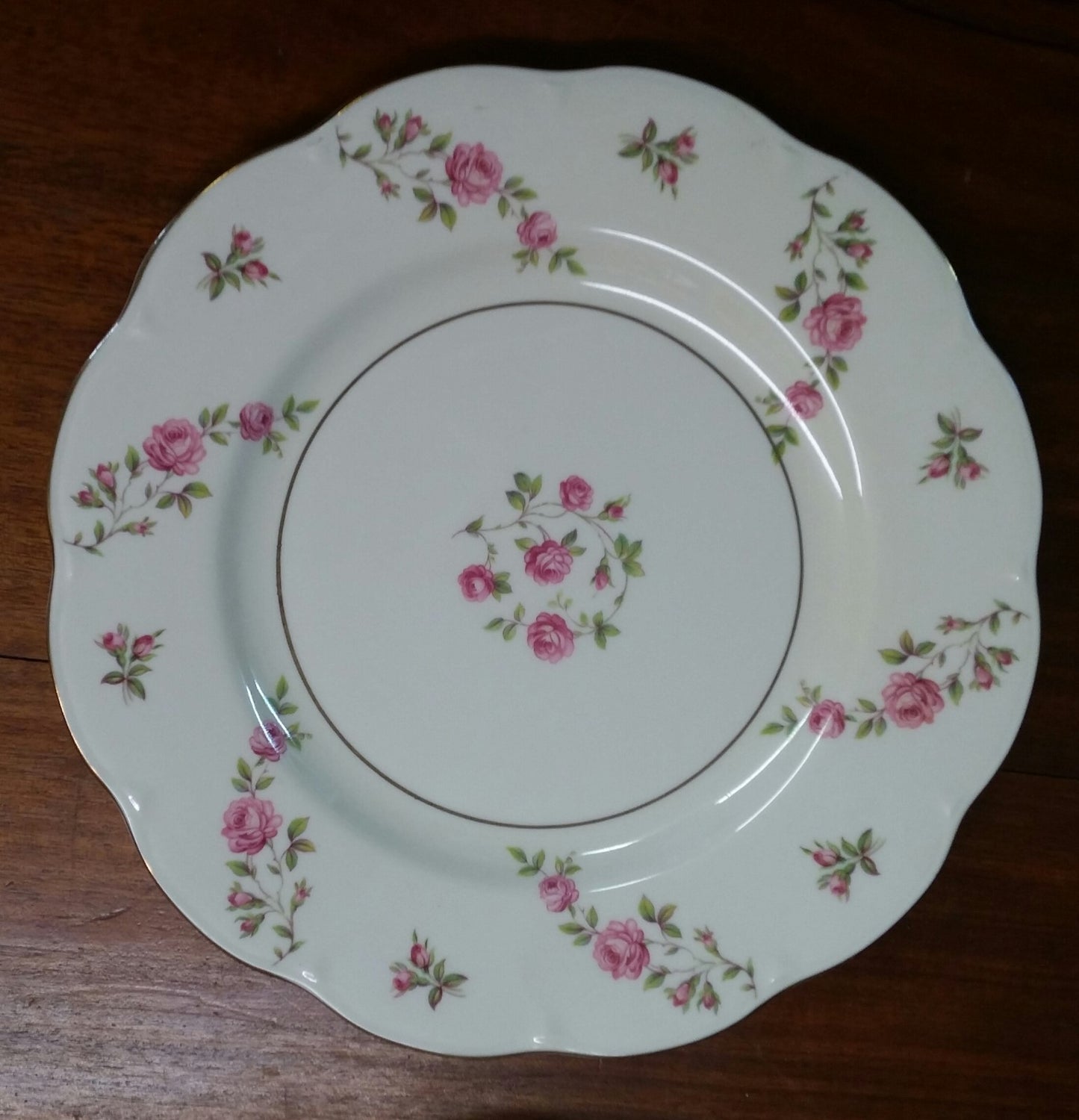 22 Pieces THEODORE HAVILAND DELAWARE (NEW YORK) 6 dinner & 6 b b plates, 5 C&S