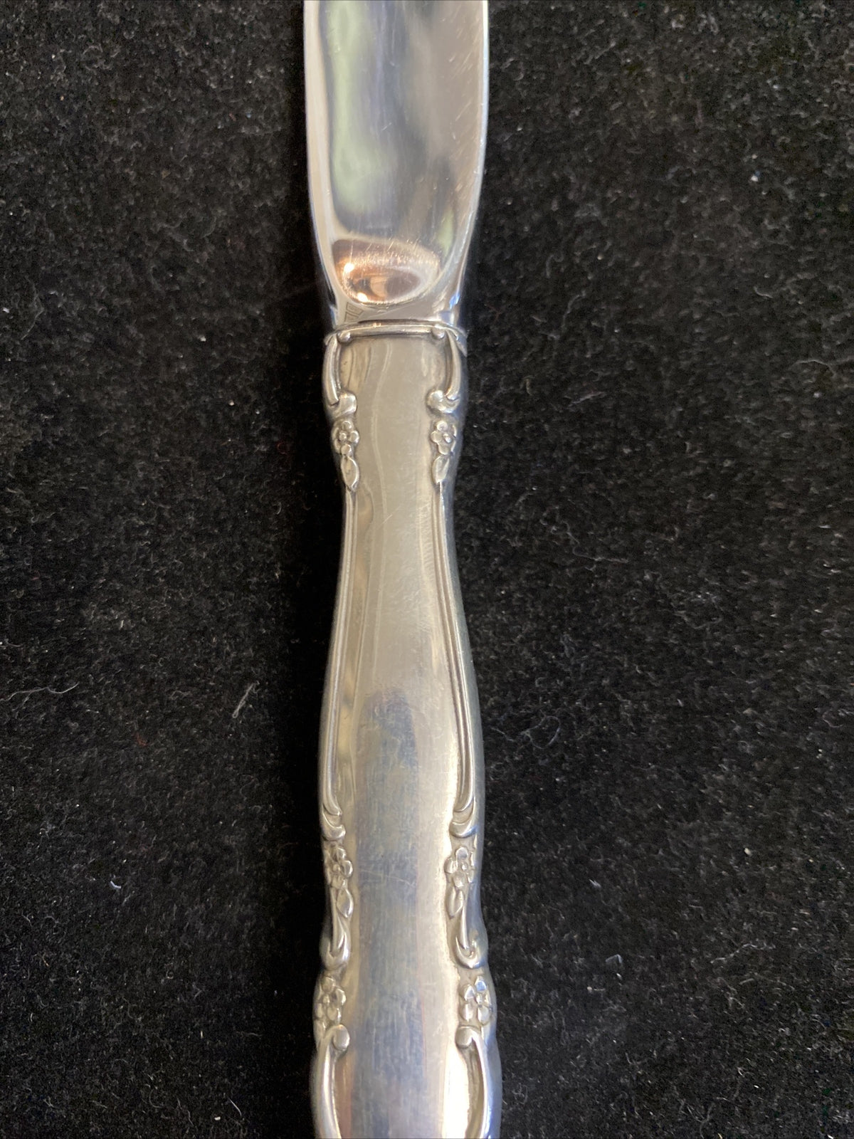 Mignonette by Lunt Sterling Silver 9 1/8" Dinner Knives 10 Avail 74.5g ea