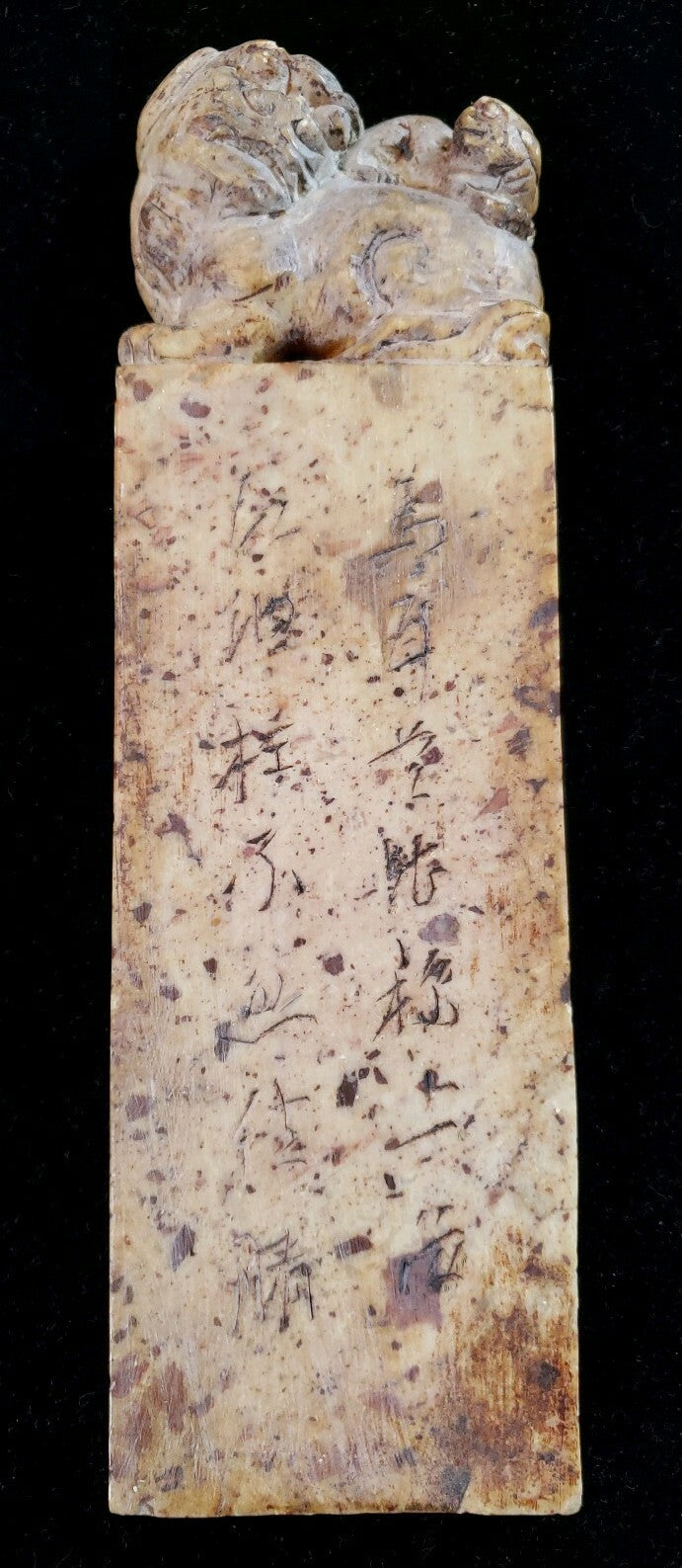 Antique Vintage Chinese Carved Soapstone Seal Foo Dog Inscription 20th Century