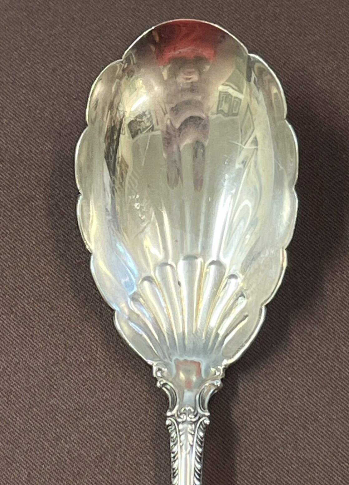 Gorham Silver English Gadroon Sterling Sugar Shell Spoon 6 1/4” 30g No Mono