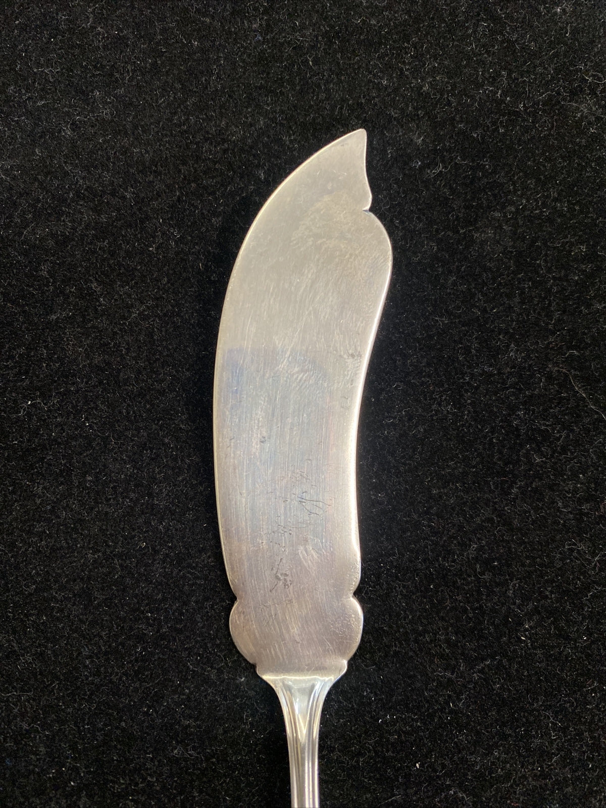 Gorham Whiting Master Butter 7 1/4'' Solid Sterling Silver 35g