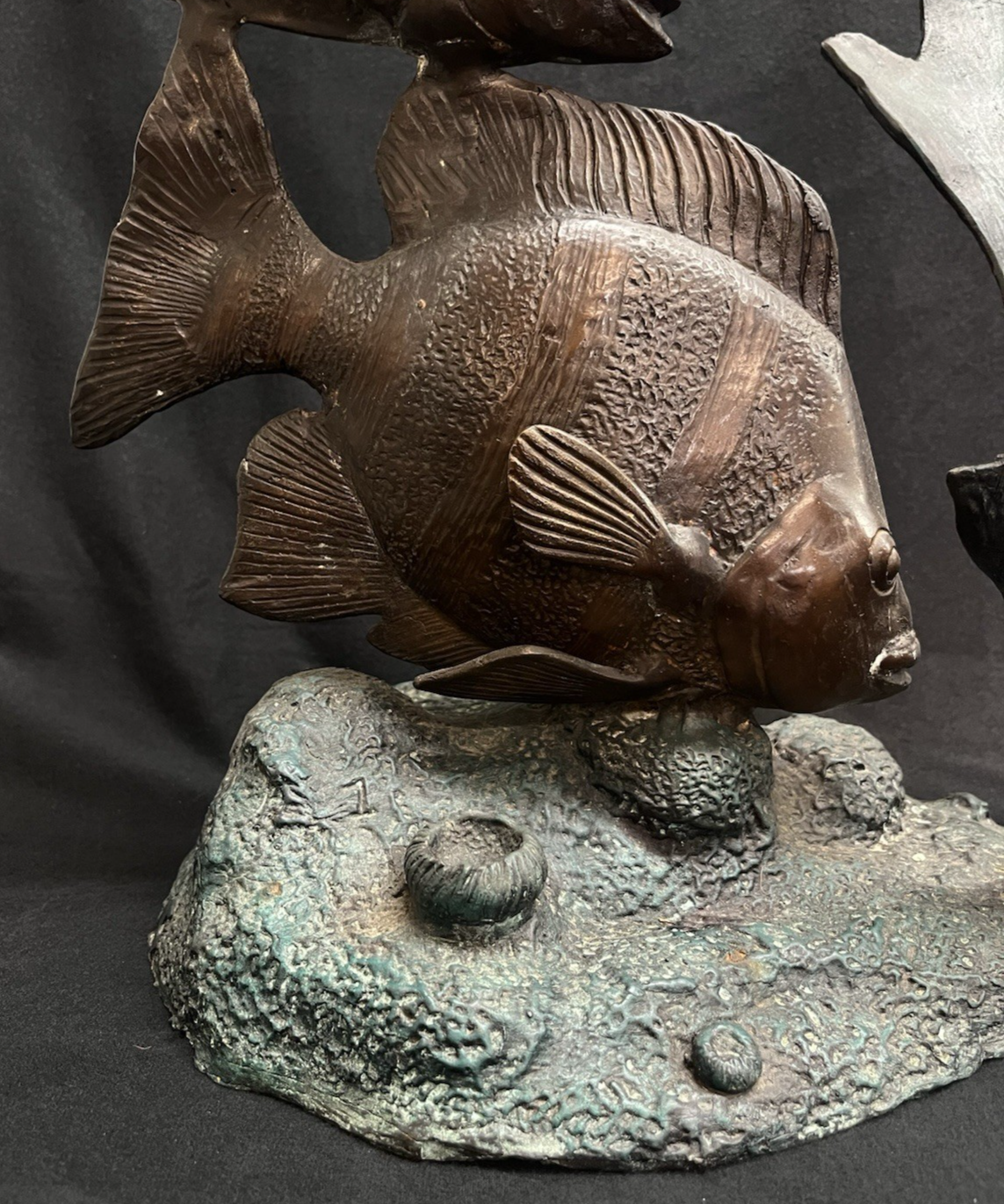 PB14 Bronze Green and Brown Three Angel Fish w/ Seaweed Sculpture/Statue 26.75"