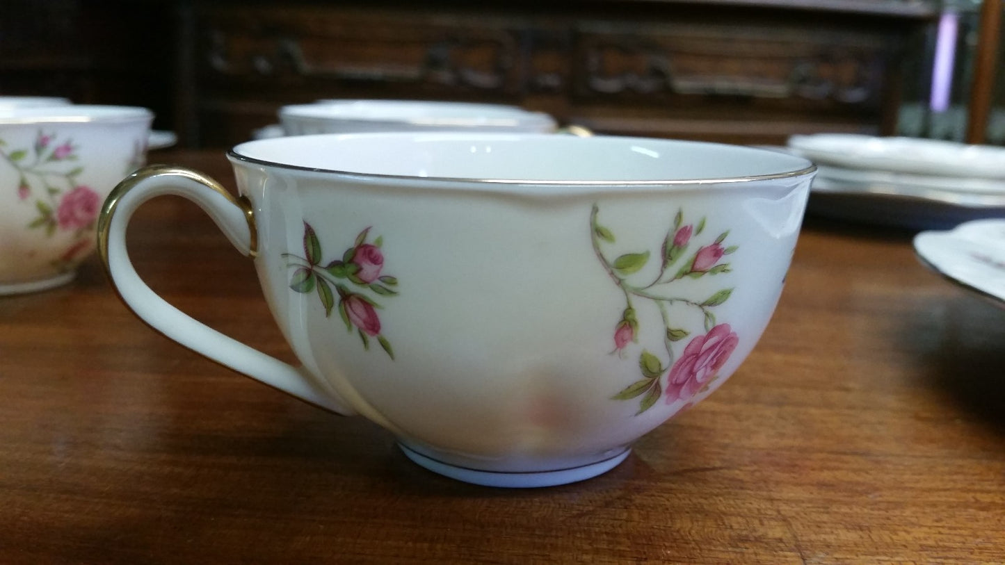 22 Pieces THEODORE HAVILAND DELAWARE (NEW YORK) 6 dinner & 6 b b plates, 5 C&S