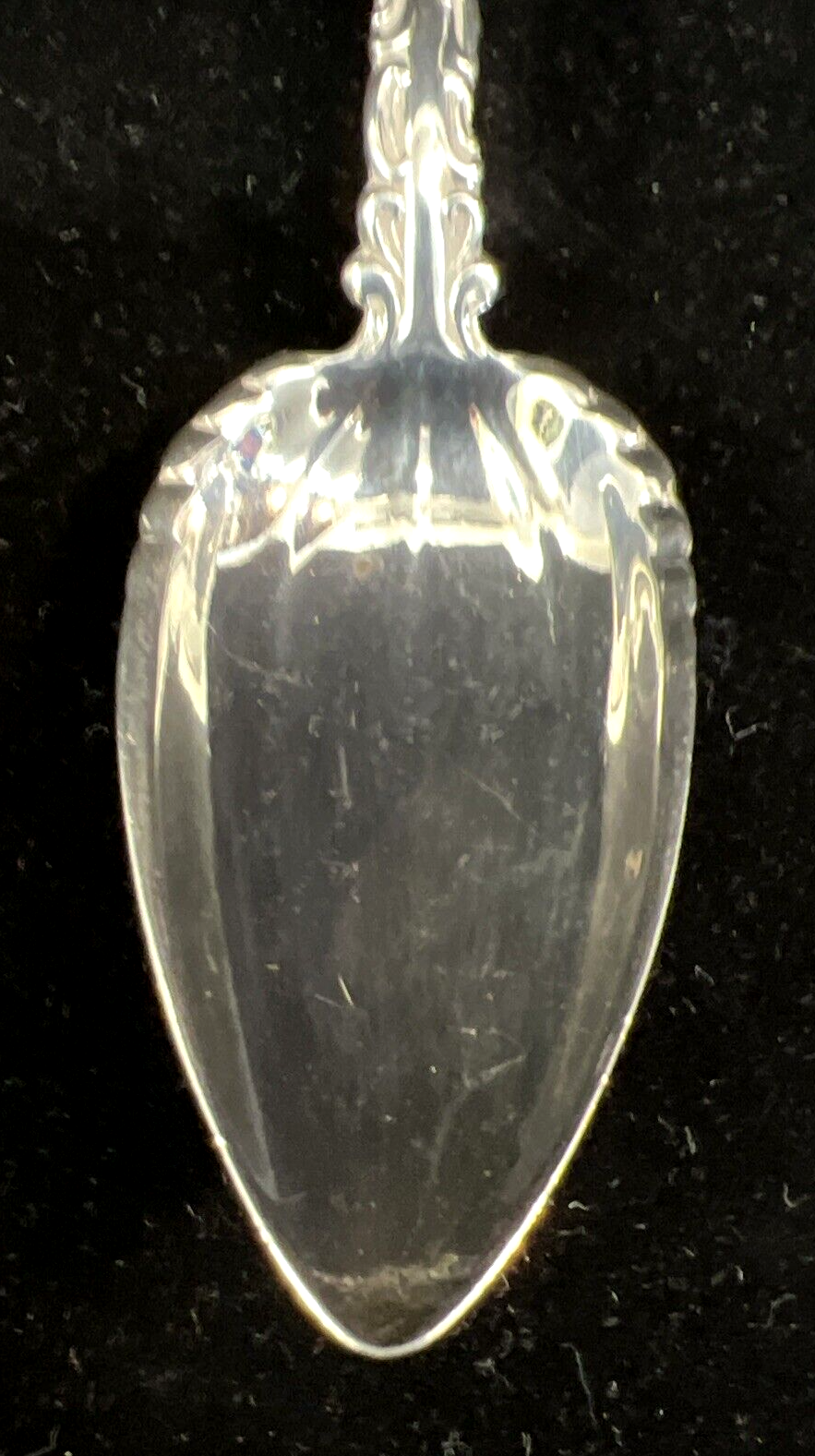 Louis XV Whiting Mfg. Pat. 1891 Sterling Grapefruit Spoon Mono Horace 5 1/4" 20g