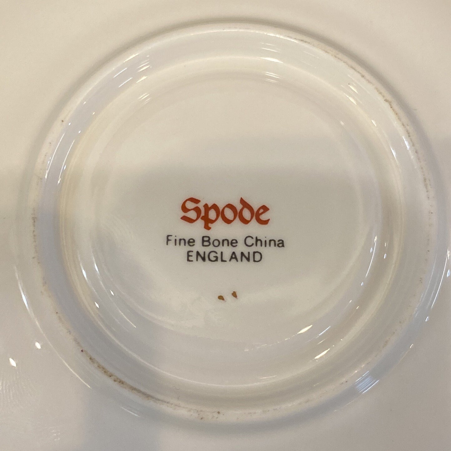 Spode Fine Bone China Tea Cup & Saucer BH239