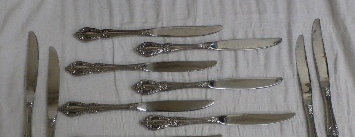 10 ONEIDA RAPHAEL STAINLESS STEEL Dinner KNIVES  retail $100
